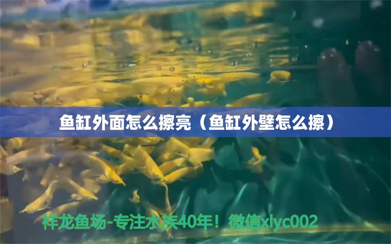 魚缸外面怎么擦亮（魚缸外壁怎么擦）