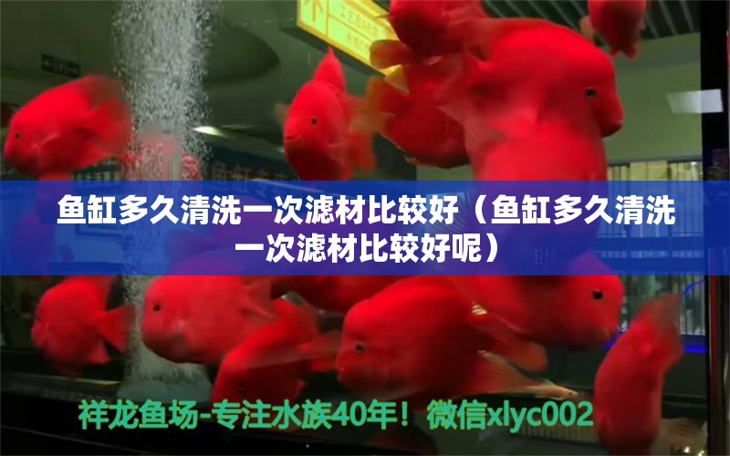 魚(yú)缸多久清洗一次濾材比較好（魚(yú)缸多久清洗一次濾材比較好呢）