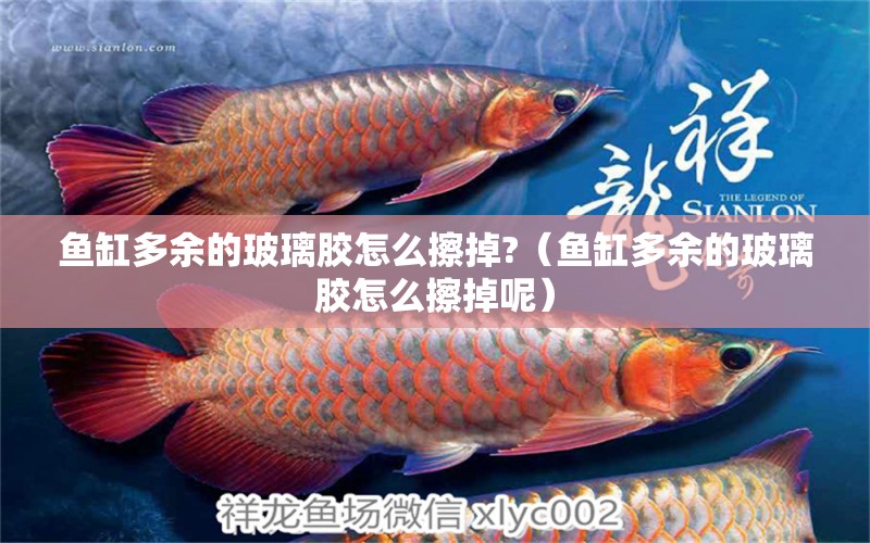 魚缸多余的玻璃膠怎么擦掉?（魚缸多余的玻璃膠怎么擦掉呢） 飛鳳魚苗