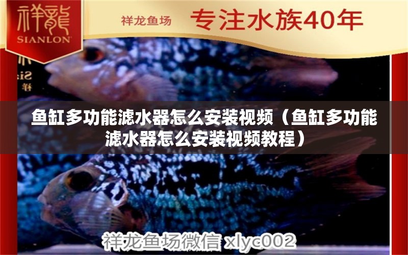 魚缸多功能濾水器怎么安裝視頻（魚缸多功能濾水器怎么安裝視頻教程） 其他品牌魚缸