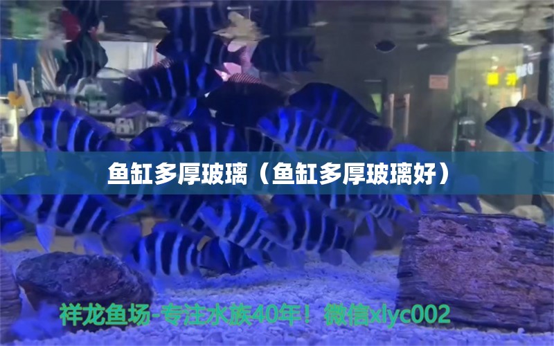 魚缸多厚玻璃（魚缸多厚玻璃好）