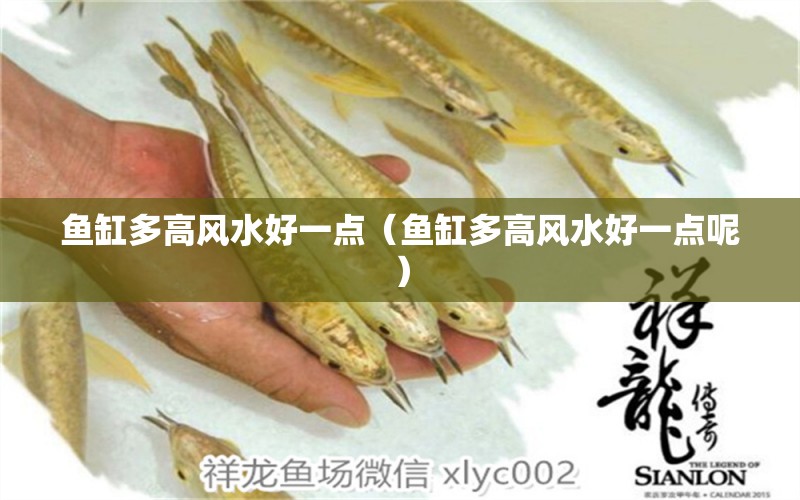 魚(yú)缸多高風(fēng)水好一點(diǎn)（魚(yú)缸多高風(fēng)水好一點(diǎn)呢）