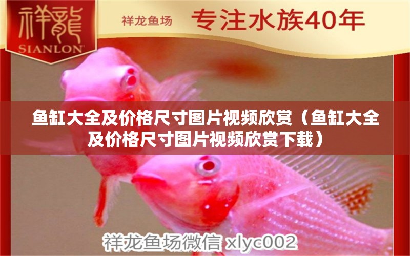 魚缸大全及價格尺寸圖片視頻欣賞（魚缸大全及價格尺寸圖片視頻欣賞下載）