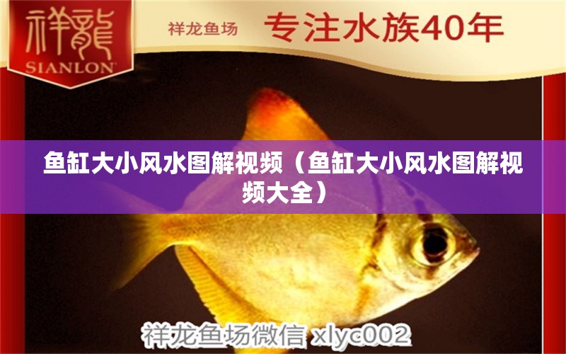 魚缸大小風(fēng)水圖解視頻（魚缸大小風(fēng)水圖解視頻大全） 魚缸風(fēng)水