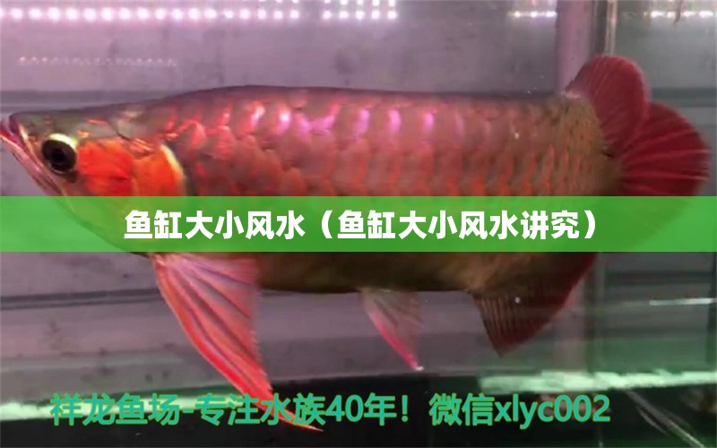 魚缸大小風(fēng)水（魚缸大小風(fēng)水講究）