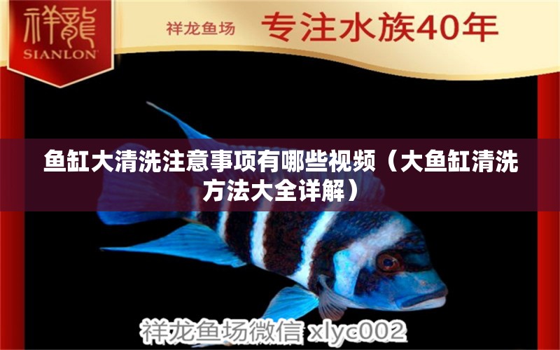 魚缸大清洗注意事項有哪些視頻（大魚缸清洗方法大全詳解） 夢幻雷龍魚