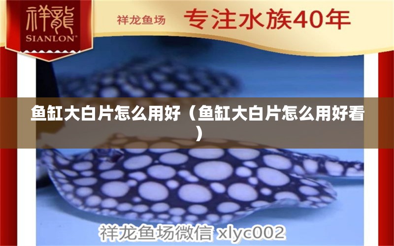 魚缸大白片怎么用好（魚缸大白片怎么用好看） 量子養(yǎng)魚技術(shù)