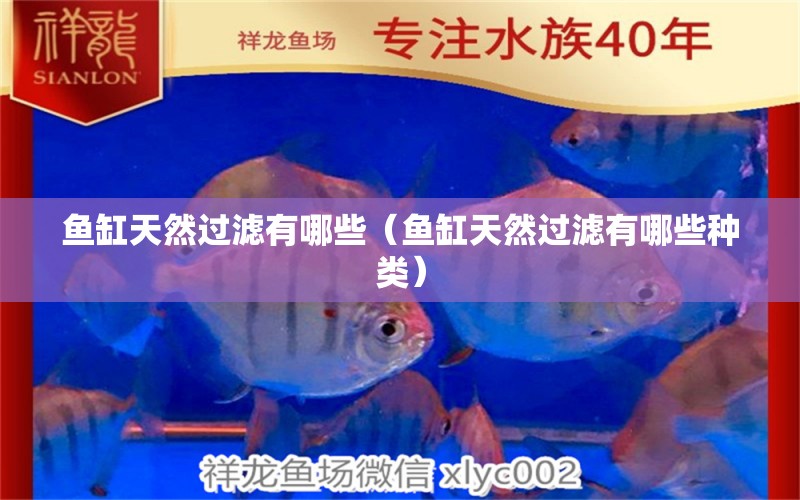 魚(yú)缸天然過(guò)濾有哪些（魚(yú)缸天然過(guò)濾有哪些種類）