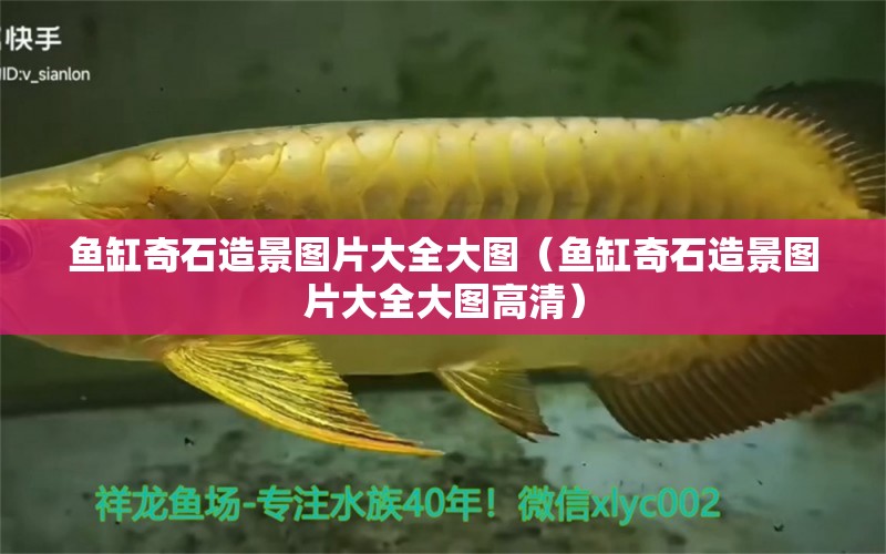 魚(yú)缸奇石造景圖片大全大圖（魚(yú)缸奇石造景圖片大全大圖高清） 定時(shí)器/自控系統(tǒng)