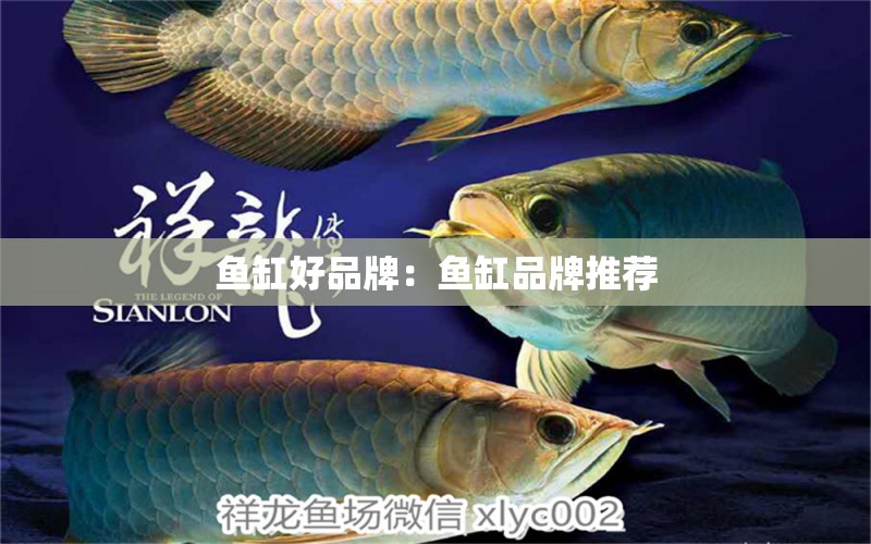 魚缸好品牌：魚缸品牌推薦