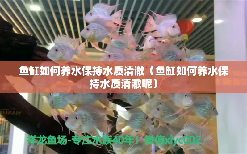 魚缸如何養(yǎng)水保持水質(zhì)清澈（魚缸如何養(yǎng)水保持水質(zhì)清澈呢）