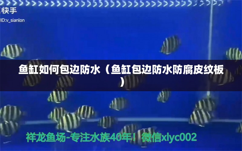 魚缸如何包邊防水（魚缸包邊防水防腐皮紋板） 大白鯊魚