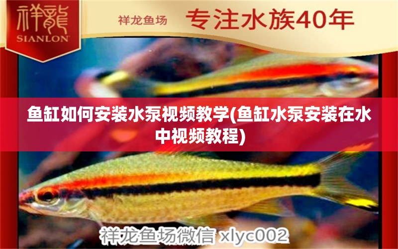 魚缸如何安裝水泵視頻教學(xué)(魚缸水泵安裝在水中視頻教程) 魚缸水泵 第1張