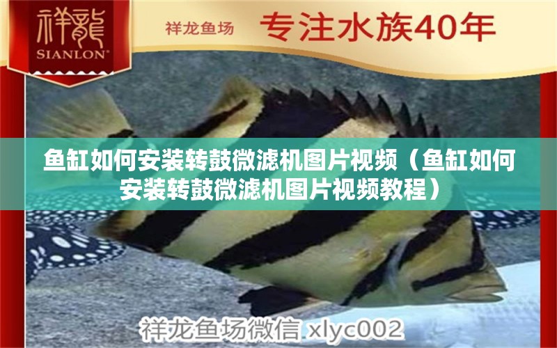 魚(yú)缸如何安裝轉(zhuǎn)鼓微濾機(jī)圖片視頻（魚(yú)缸如何安裝轉(zhuǎn)鼓微濾機(jī)圖片視頻教程） 粗線銀版魚(yú)