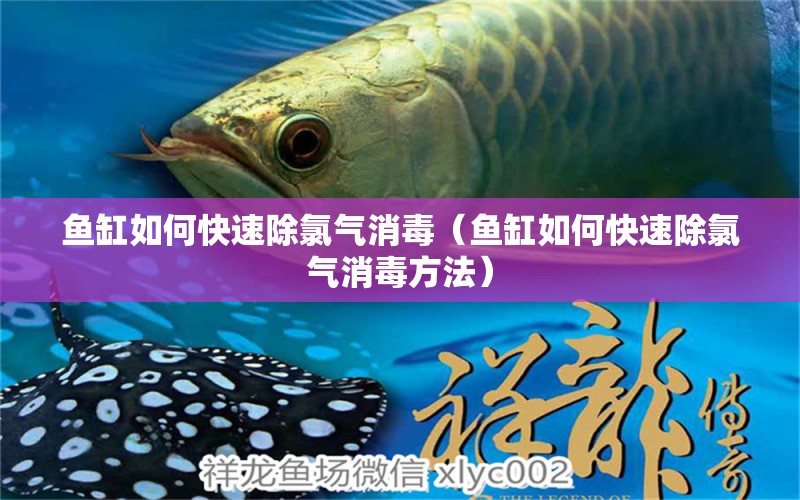 魚缸如何快速除氯氣消毒（魚缸如何快速除氯氣消毒方法）