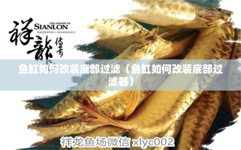 魚缸如何改裝底部過濾（魚缸如何改裝底部過濾器）