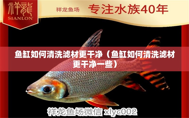 魚缸如何清洗濾材更干凈（魚缸如何清洗濾材更干凈一些）