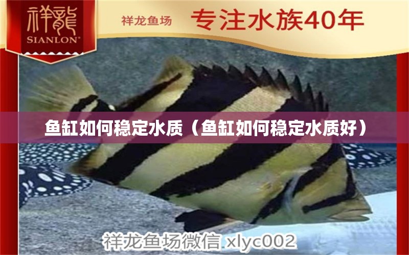 魚缸如何穩(wěn)定水質(zhì)（魚缸如何穩(wěn)定水質(zhì)好）