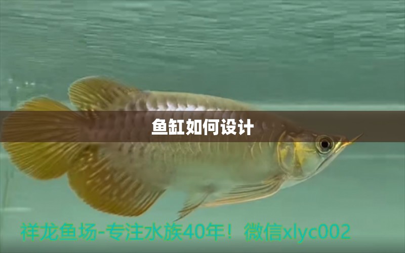 魚(yú)缸如何設(shè)計(jì)