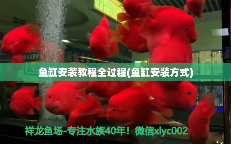 魚缸安裝教程全過(guò)程(魚缸安裝方式)