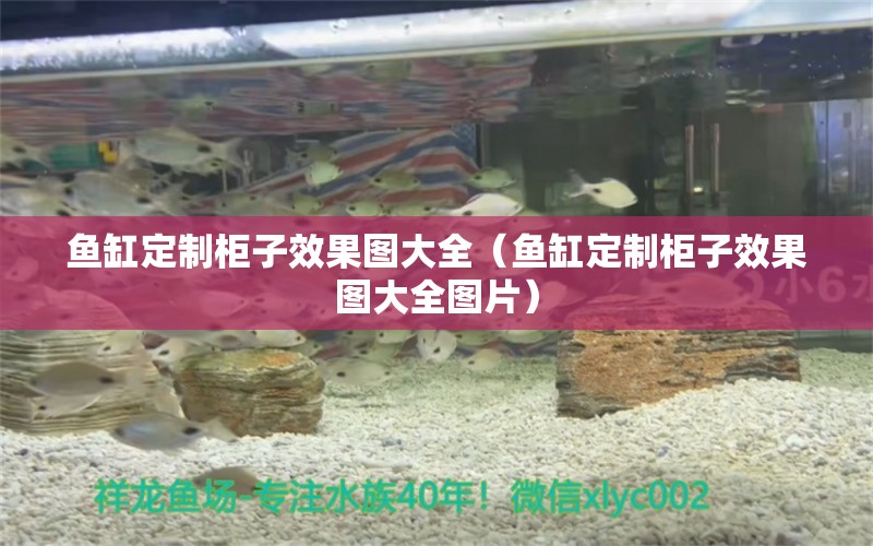 魚缸定制柜子效果圖大全（魚缸定制柜子效果圖大全圖片） 觀賞魚市場（混養(yǎng)魚）