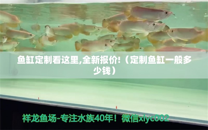 魚缸定制看這里,全新報價!（定制魚缸一般多少錢）