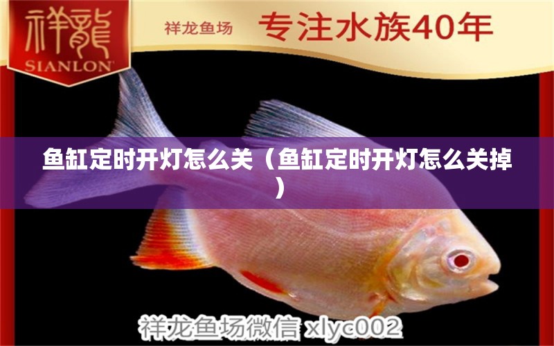 魚缸定時(shí)開燈怎么關(guān)（魚缸定時(shí)開燈怎么關(guān)掉） 觀賞魚市場(chǎng)（混養(yǎng)魚）