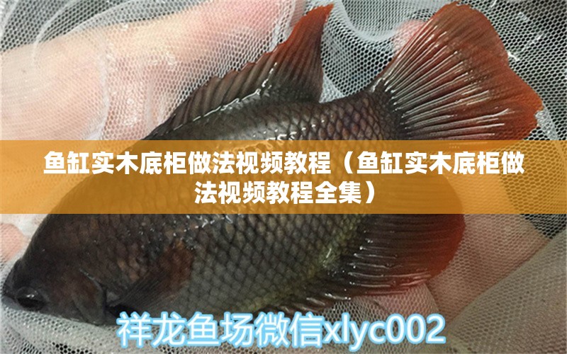 魚缸實木底柜做法視頻教程（魚缸實木底柜做法視頻教程全集）