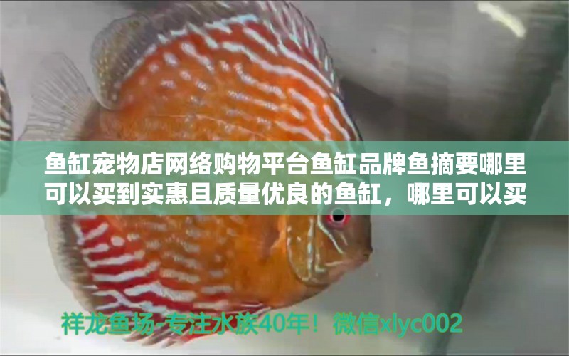 魚缸寵物店網(wǎng)絡(luò)購物平臺魚缸品牌魚摘要哪里可以買到實惠且質(zhì)量優(yōu)良的魚缸，哪里可以買到價格實惠且質(zhì)量優(yōu)良的魚缸以及牌子魚摘要 觀賞魚飼料 第2張