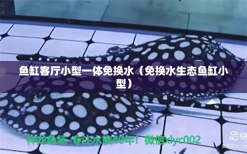 魚缸客廳小型一體免換水（免換水生態(tài)魚缸小型） 其它水族用具設(shè)備 第2張