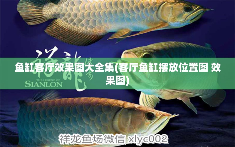 魚(yú)缸客廳效果圖大全集(客廳魚(yú)缸擺放位置圖 效果圖)