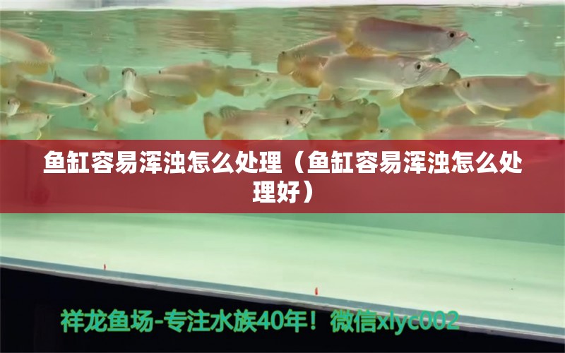 魚缸容易渾濁怎么處理（魚缸容易渾濁怎么處理好）