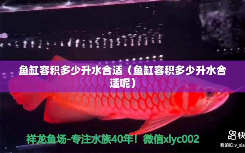 魚缸容積多少升水合適（魚缸容積多少升水合適呢）