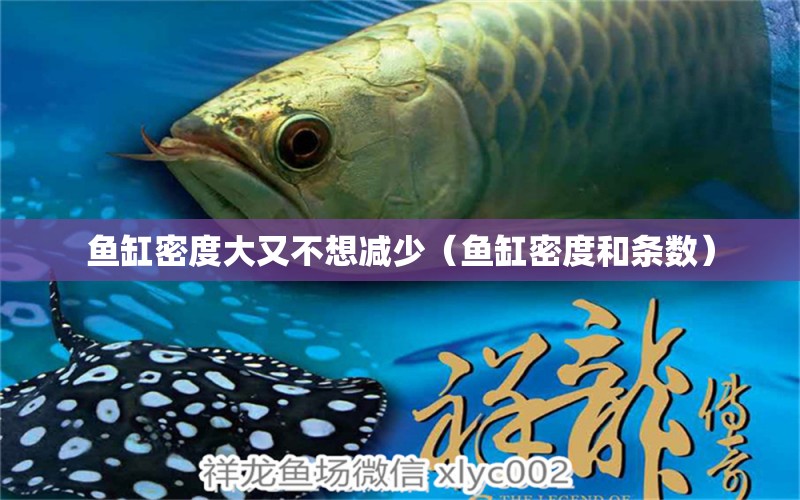 魚缸密度大又不想減少（魚缸密度和條數(shù)）