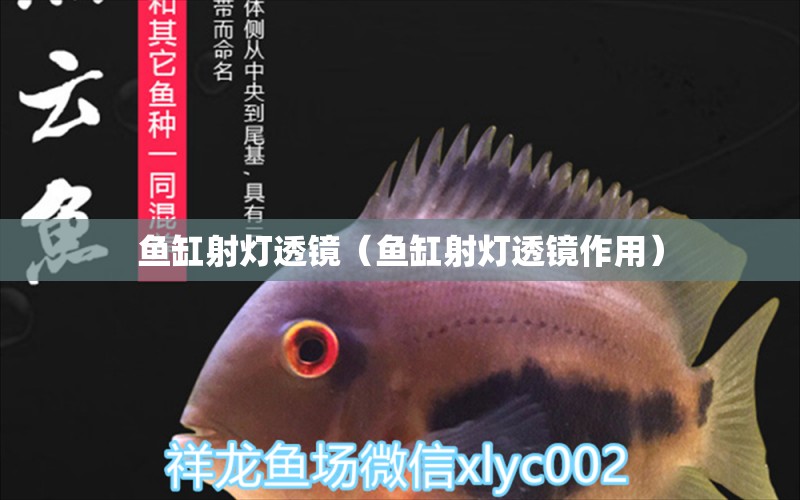 魚缸射燈透鏡（魚缸射燈透鏡作用）