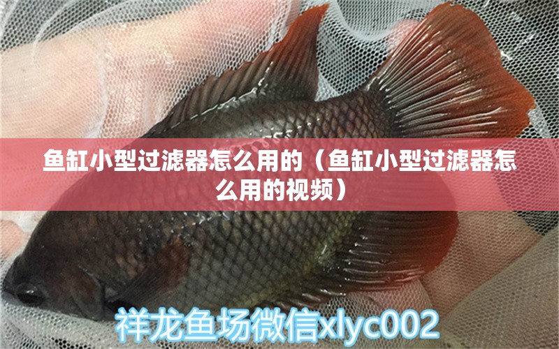 魚缸小型過濾器怎么用的（魚缸小型過濾器怎么用的視頻）