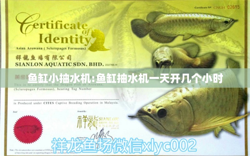 魚缸小抽水機(jī):魚缸抽水機(jī)一天開幾個小時 錦鯉池魚池建設(shè) 第1張