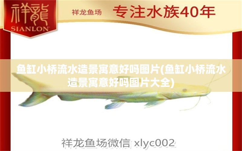 魚(yú)缸小橋流水造景寓意好嗎圖片(魚(yú)缸小橋流水造景寓意好嗎圖片大全) 戰(zhàn)車(chē)紅龍魚(yú) 第1張