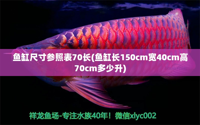 魚缸尺寸參照表70長(魚缸長150cm寬40cm高70cm多少升) 奈及利亞紅圓點狗頭 第1張