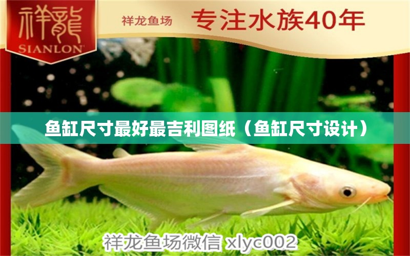 魚(yú)缸尺寸最好最吉利圖紙（魚(yú)缸尺寸設(shè)計(jì)）