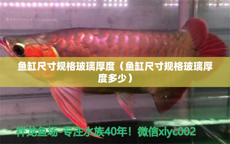 魚缸尺寸規(guī)格玻璃厚度（魚缸尺寸規(guī)格玻璃厚度多少）