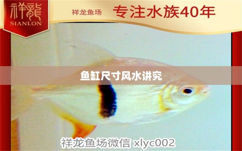 魚缸尺寸風(fēng)水講究