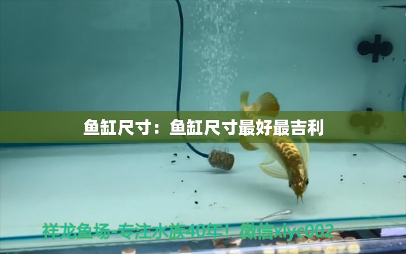 魚(yú)缸尺寸：魚(yú)缸尺寸最好最吉利