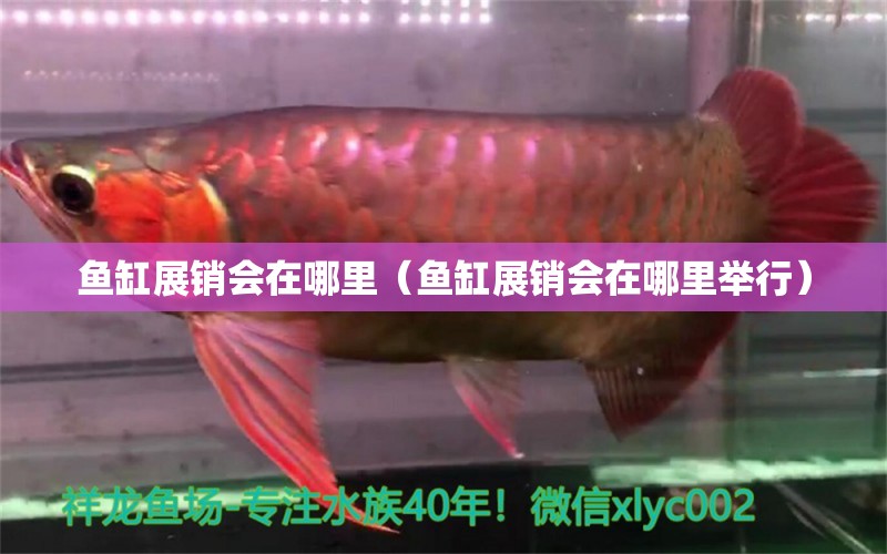 魚缸展銷會(huì)在哪里（魚缸展銷會(huì)在哪里舉行）