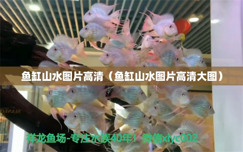 魚缸山水圖片高清（魚缸山水圖片高清大圖） 蝴蝶鯉魚苗