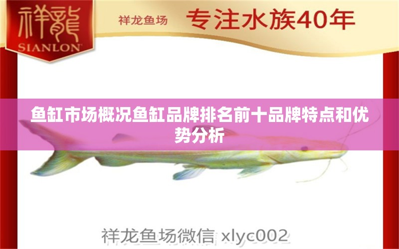 魚缸市場概況魚缸品牌排名前十品牌特點和優(yōu)勢分析 養(yǎng)魚知識 第1張