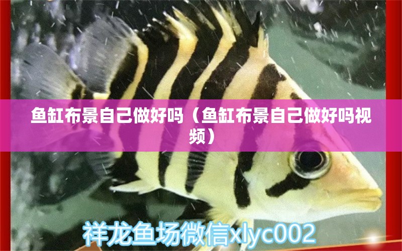 魚缸布景自己做好嗎（魚缸布景自己做好嗎視頻） 祥龍水族醫(yī)院