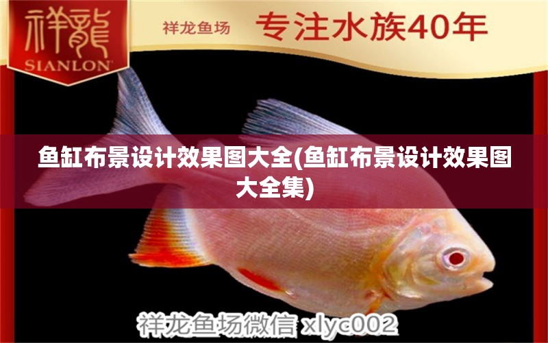 魚缸布景設(shè)計(jì)效果圖大全(魚缸布景設(shè)計(jì)效果圖大全集) 廣州水族批發(fā)市場(chǎng)