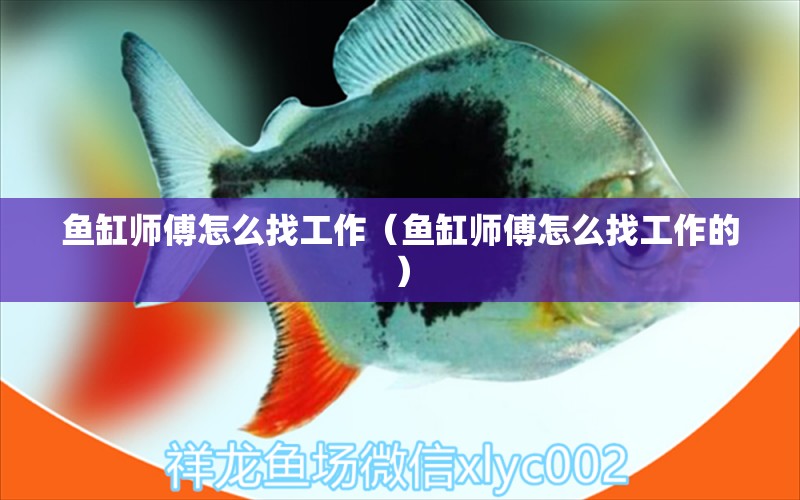 魚缸師傅怎么找工作（魚缸師傅怎么找工作的）