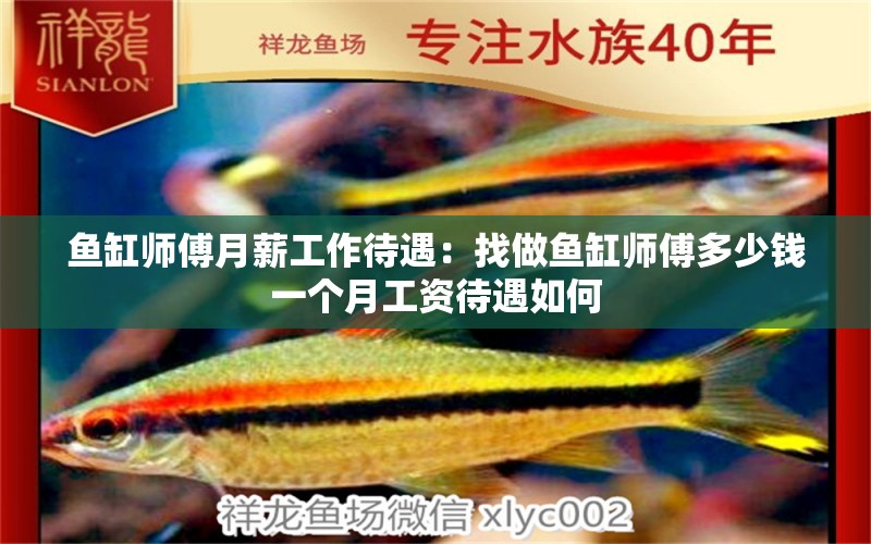 魚缸師傅月薪工作待遇：找做魚缸師傅多少錢一個(gè)月工資待遇如何